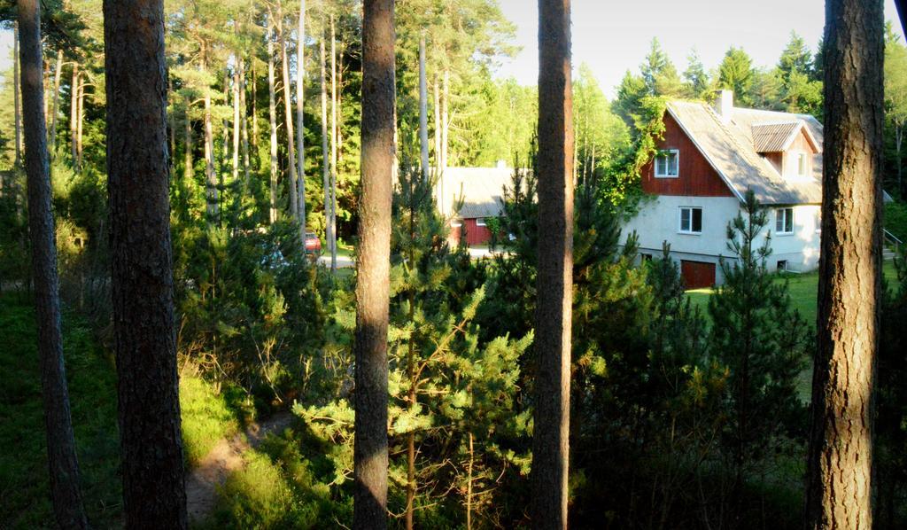 Roosi Holiday Home Rannaküla Exteriör bild